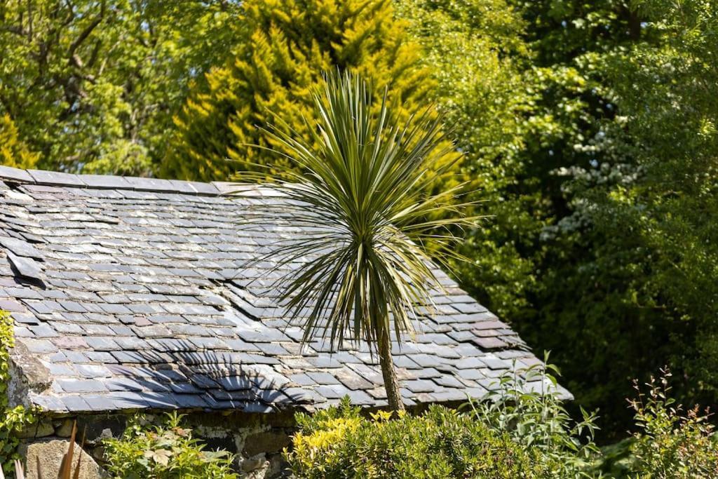 Plas Newydd With Swimming Pool, Fire Pit, And Log Fires Villa Rhiw Eksteriør bilde